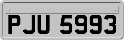 PJU5993