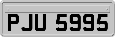 PJU5995