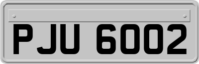 PJU6002