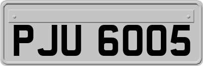 PJU6005