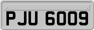 PJU6009