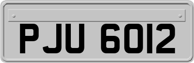 PJU6012