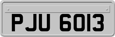 PJU6013