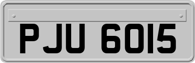 PJU6015