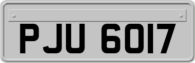 PJU6017