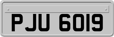PJU6019