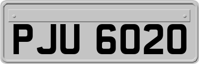 PJU6020