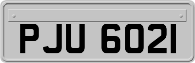 PJU6021