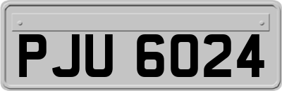PJU6024