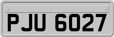 PJU6027