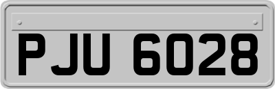 PJU6028