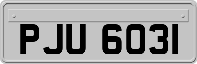 PJU6031