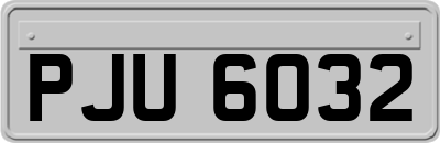 PJU6032