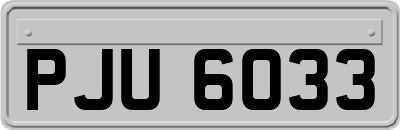 PJU6033