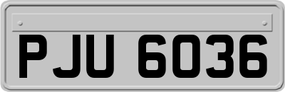 PJU6036