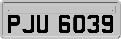 PJU6039
