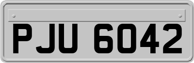 PJU6042