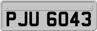PJU6043