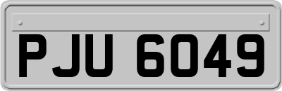 PJU6049