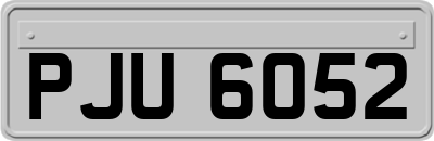 PJU6052