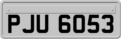 PJU6053