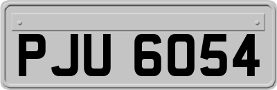 PJU6054