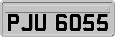 PJU6055