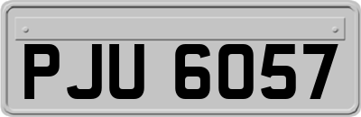 PJU6057