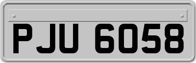 PJU6058