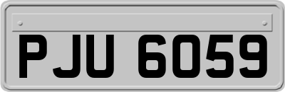 PJU6059