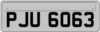 PJU6063