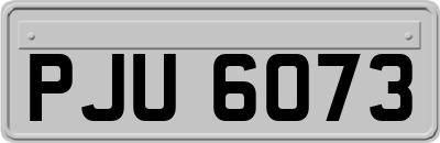 PJU6073