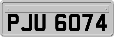 PJU6074