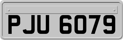 PJU6079