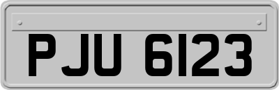PJU6123
