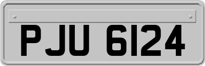 PJU6124