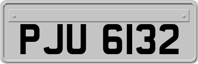 PJU6132
