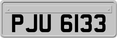 PJU6133