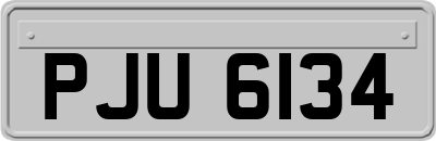 PJU6134