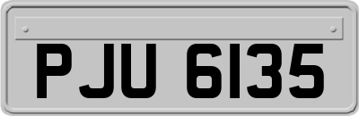 PJU6135