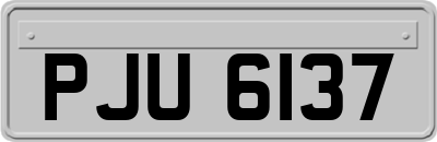 PJU6137