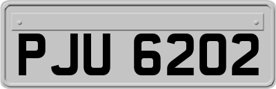 PJU6202