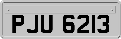 PJU6213