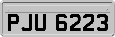PJU6223