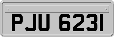 PJU6231