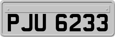 PJU6233