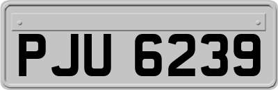 PJU6239