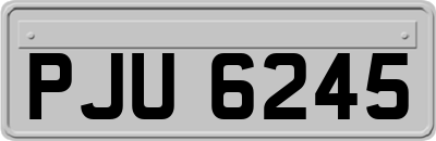 PJU6245