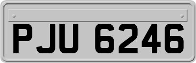 PJU6246