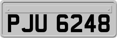 PJU6248
